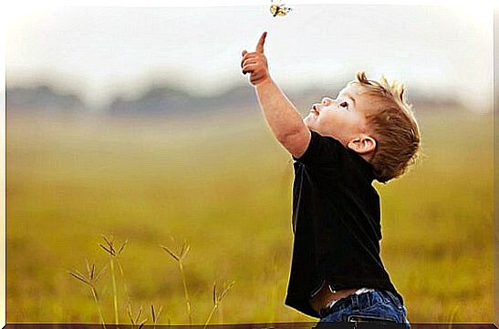 little boy playing butterfly representing how to raise independent children