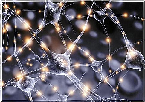 Group of neurons