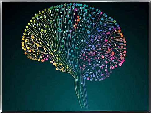 The Human Connectome Project: discovering our brain in depth