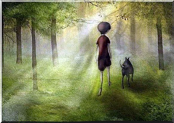 boy walking through a forest with his dog (2)