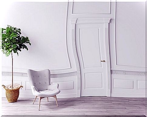 Plant and chair in a white room