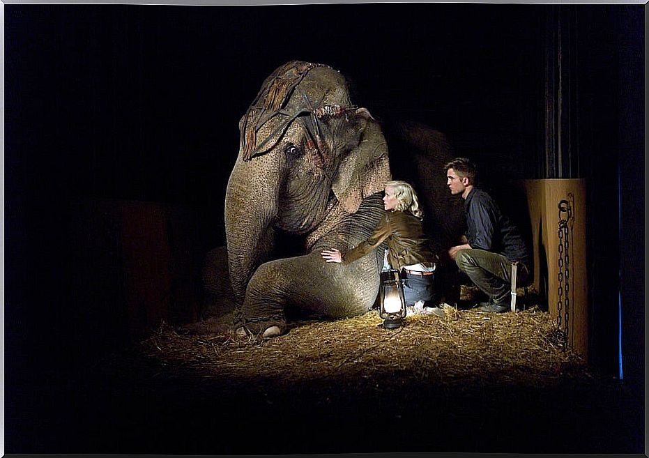 Water for elephants